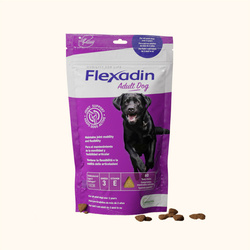 Flexadin dla dorosłych psów dużej rasy na stawy 60 sztuk