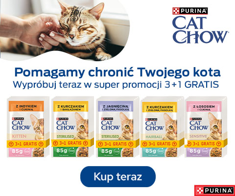 cat chow 3+1