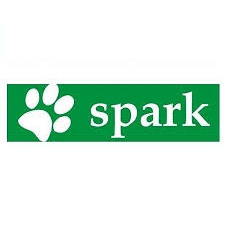Spark