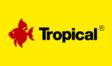 Tropical