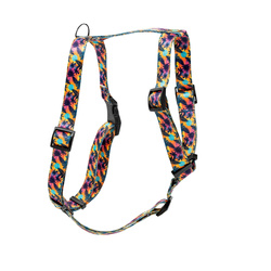 Barry King Szelki taśma dla psa Hawaje 16mm/30-60cm