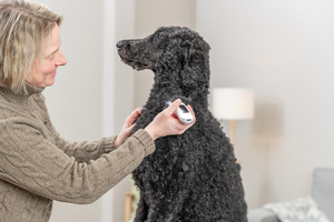 Trixie TR1600 maszynka do strzyżenia dla psa 10W biała bezprzewodowa 2000mAh