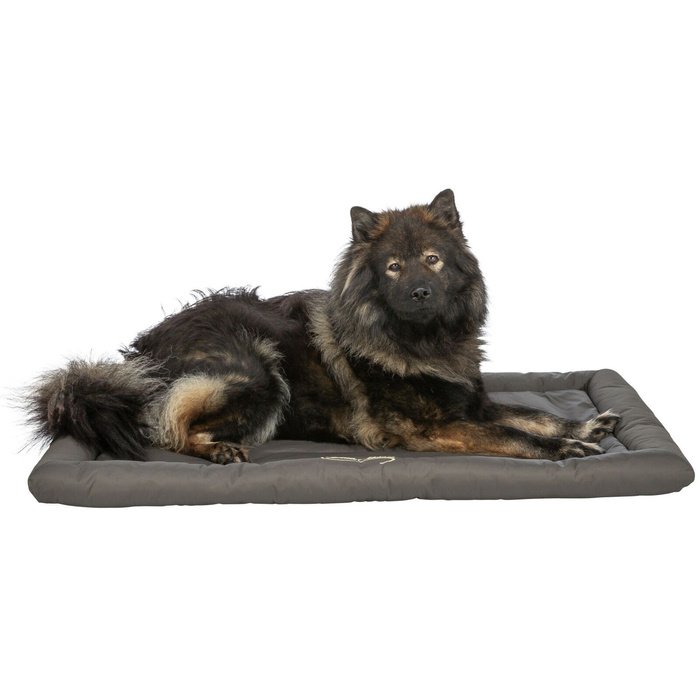 Trixie Samoa Classic koc podróżny dla psa oliwkowa zieleń 130x80cm
