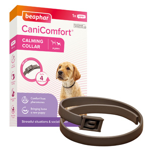 BEAPHAR CaniComfort Calming Collar Puppy 45cm Obroża z feromonami