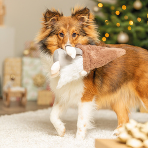 Trixie Xmas Gnom Pluszowa zabawka dla psa z dźwiękiem 30 cm