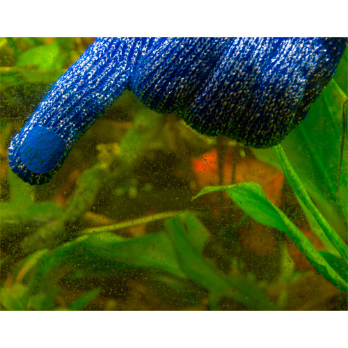 HOBBY Algo Wipe S.S. Rękawice do czyszczenia