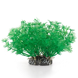 Aqua Natura Roślina do dekoracji akwarium zielona plastikowa 10cm pędy kopru szerokie