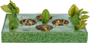 Trixie Taca do karmienia dla gryzoni karton 28x3,7x18cm