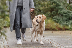 Trixie Pure smycz regulowana dla psa skórzana brązowa M-L: 2m/20mm