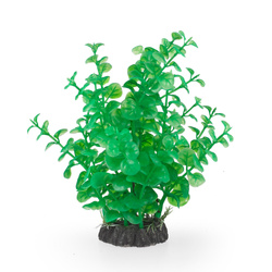 Aqua Natura Roślina do dekoracji akwarium zielona plastikowa 20cm wysoka peperomia