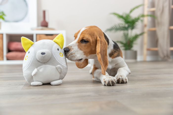 Trixie Junior Lis zabawka dla szczeniąt plusz 15cm