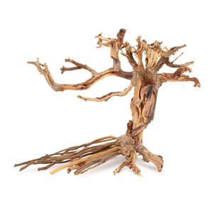 Terra Natura Tonące drzewo Bonsai nr 14 25x20