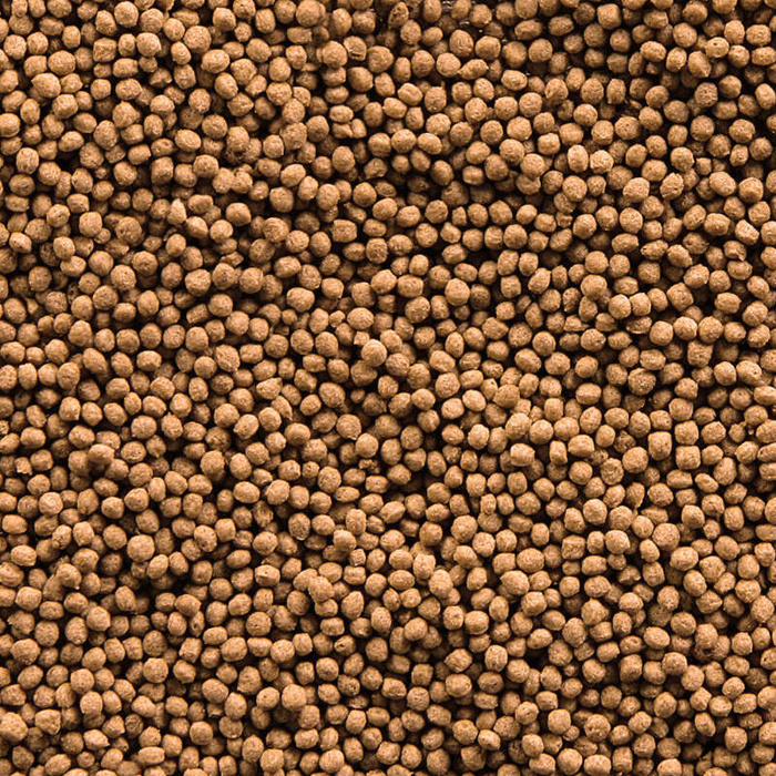Sera Koi Royal Mini 1.000 ml granulat pokarm podstawowy dla Koi