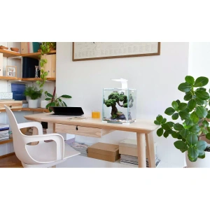 AQUAEL Shrimp Set Smart D&N 10 biały