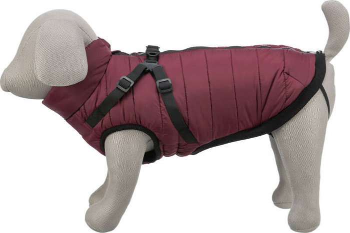 Trixie Pirou płaszczyk zimowy z szelkami dla psa sangria XS: 30 cm