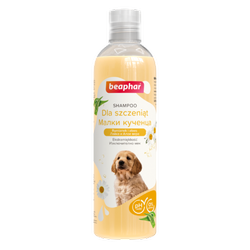 Beaphar Puppy szampon dla szczeniąt 250ml