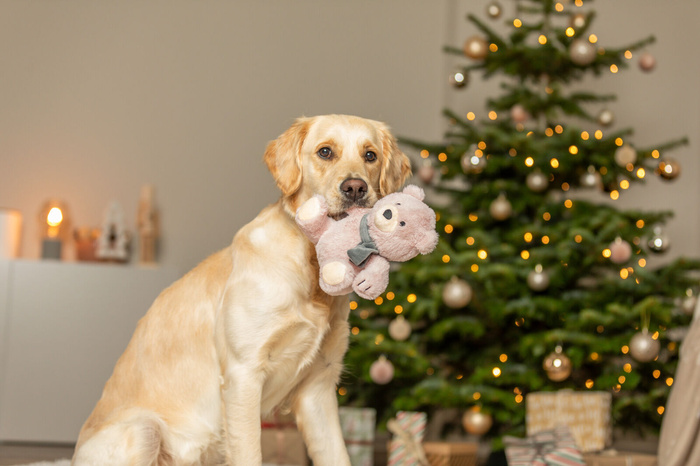 Trixie Xmas Cichy Pluszowy Miś w Szaliku 19 cm