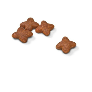 Royal Canin Mini Adult 800g