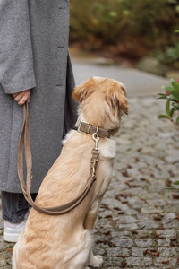 Trixie Pure smycz regulowana dla psa skórzana brązowa M-L: 2m/20mm