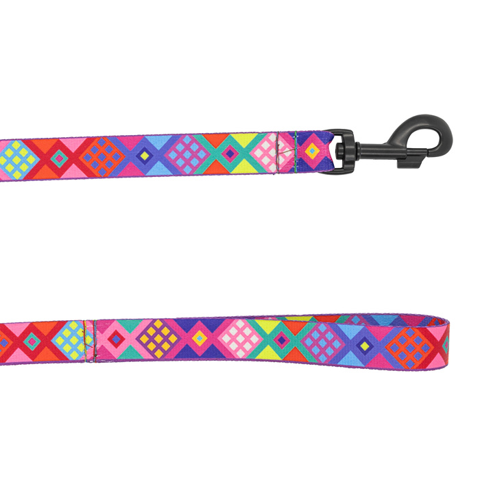 Barry King Smycz dla psa taśma Peru 20mm/120cm