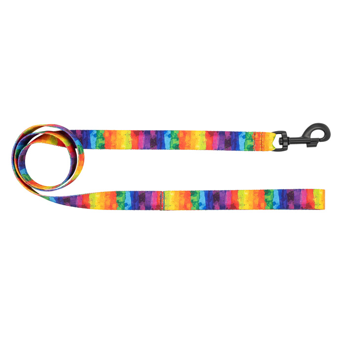 Barry King Smycz dla psa taśma Tęcza 20mm/120cm