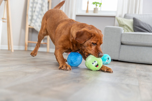 Trixie Piłeczki zabawka dla psa plusz 10cm z recyklingu 1 szt z dźwiękiem