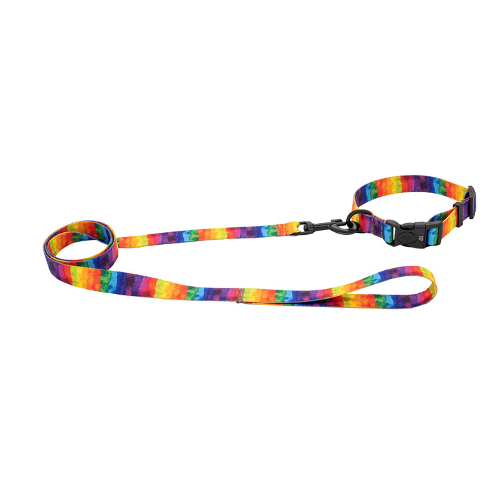 Barry King Smycz dla psa taśma Tęcza 20mm/120cm