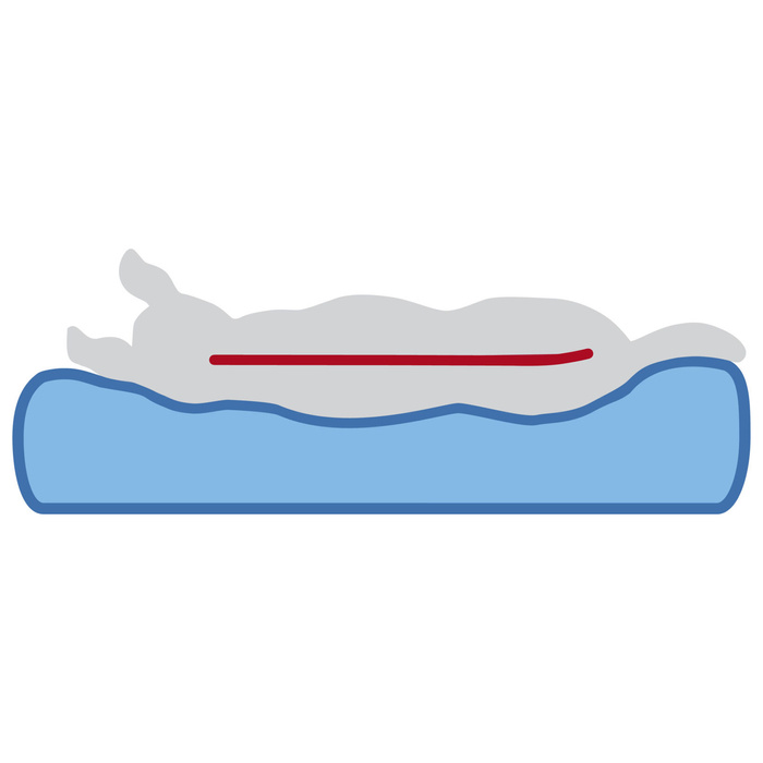 Trixie Vital Noah materac ortopedyczny jasnoszary 110x70cm