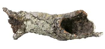 TerraNatura Dekoracja do terrarium tuby i płaty korkowe L-XL 1kg