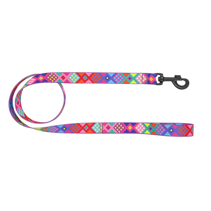 Barry King Smycz dla psa taśma Peru 20mm/120cm