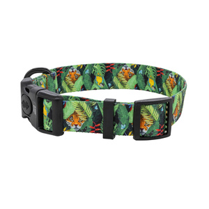 Barry King Obroża taśma dla psa Tropical 20mm/35-54cm