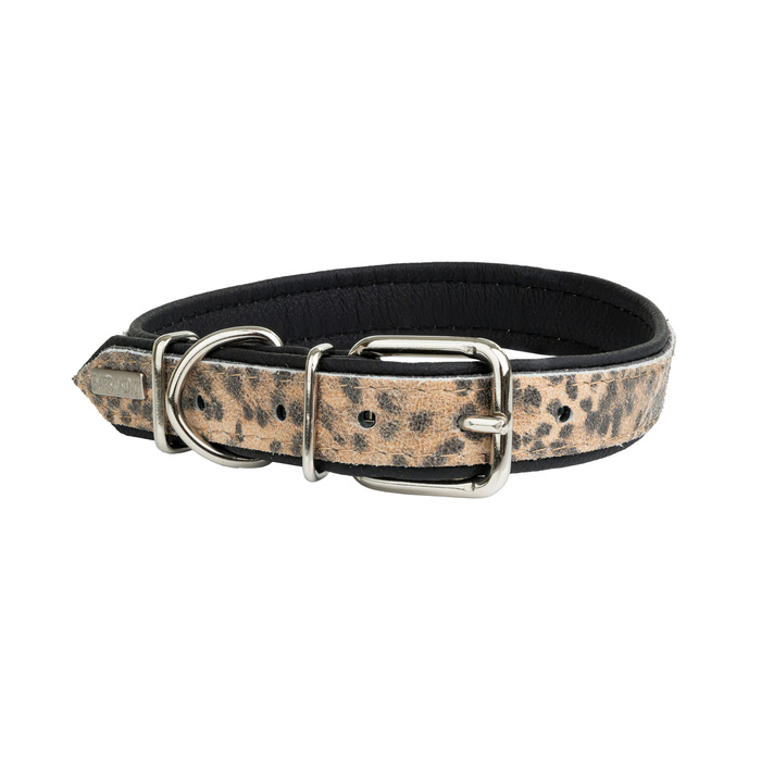 Barry King Obroża dla psa Cheetah 16mm/41cm