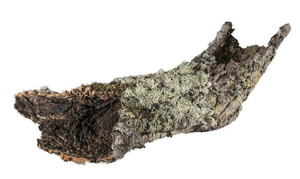 TerraNatura Dekoracja do terrarium tuby i płaty korkowe L-XL 1kg