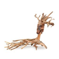 Terra Natura Tonące drzewo Bonsai nr 14 25x20