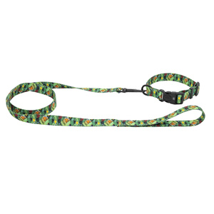 Barry King Smycz dla psa taśma Tropical 25mm/120cm