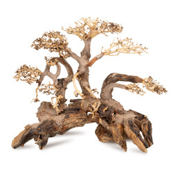Terra Natura Tonące drzewo Bonsai nr 59 50x40 cm