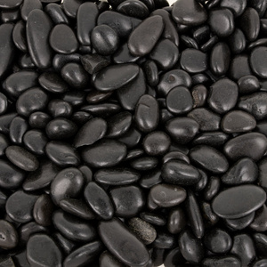Terra Natura Kamienie polerowane Black Pebble 8-12mm do akwarium terrarium 5kg/opak