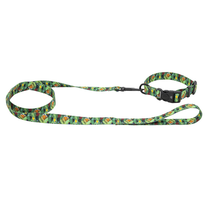 Barry King Smycz dla psa taśma Tropical 25mm/120cm