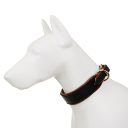 Barry King Obroża Skóra Łoś Strong 50mm/65cm koniak