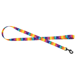 Barry King Smycz dla psa taśma Tęcza 20mm/120cm