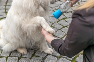 Trixie Przenośny prysznic dla psa nakładka na butelkę silikon 5x5,5cm