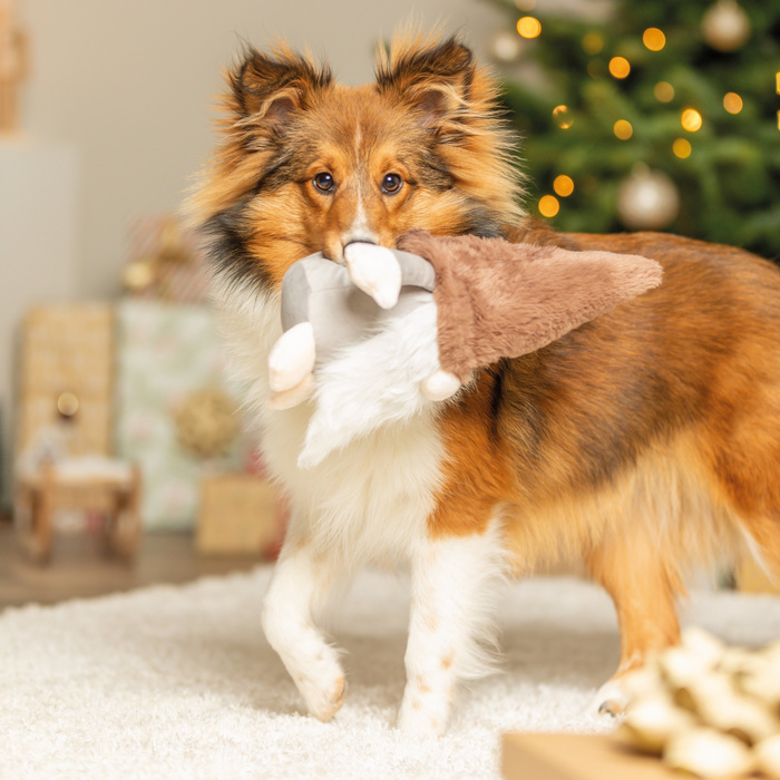 Trixie Xmas Gnom Pluszowa zabawka dla psa z dźwiękiem 30 cm