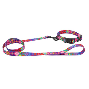 Barry King Smycz dla psa taśma Peru 20mm/120cm