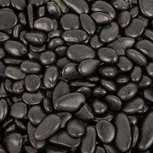 Terra Natura Kamienie polerowane Black Pebble 10-20 mm 10kg/opak