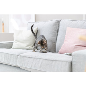 Trixie Poduszka dla Kota 7x9cm bawełna mix Kolorów z Walerianą