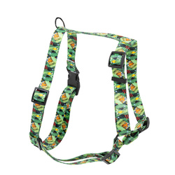 Barry King Szelki taśma dla psa Tropical 16mm/30-60cm