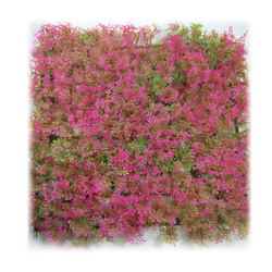 Aqua Natura Roślina do dekoracji akwarium różowa plastikowa 25cm x 25cm morski dywan