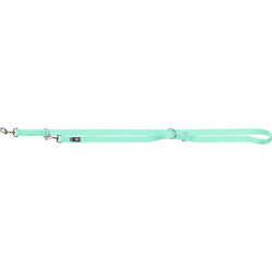 Trixie Smycz regulowana Premium L-XL 2m/25mm miętowa