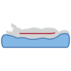 Trixie Vital Noah materac ortopedyczny jasnoszary 90x65cm