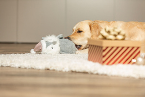 Trixie Xmas Pluszowa Sowa z Bawełnianą Linką 31 cm